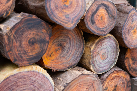 5 Reasons Why Walnut is the Ultimate Timber for Cutting Boards