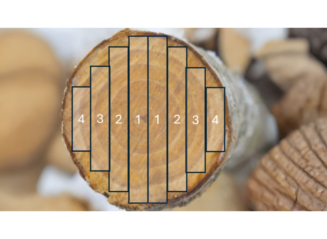 Inside a Wahlch Board